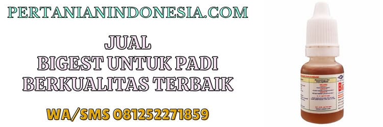 jual,jual bigest,jual bigest untuk padi,pertanian indonesia,murah